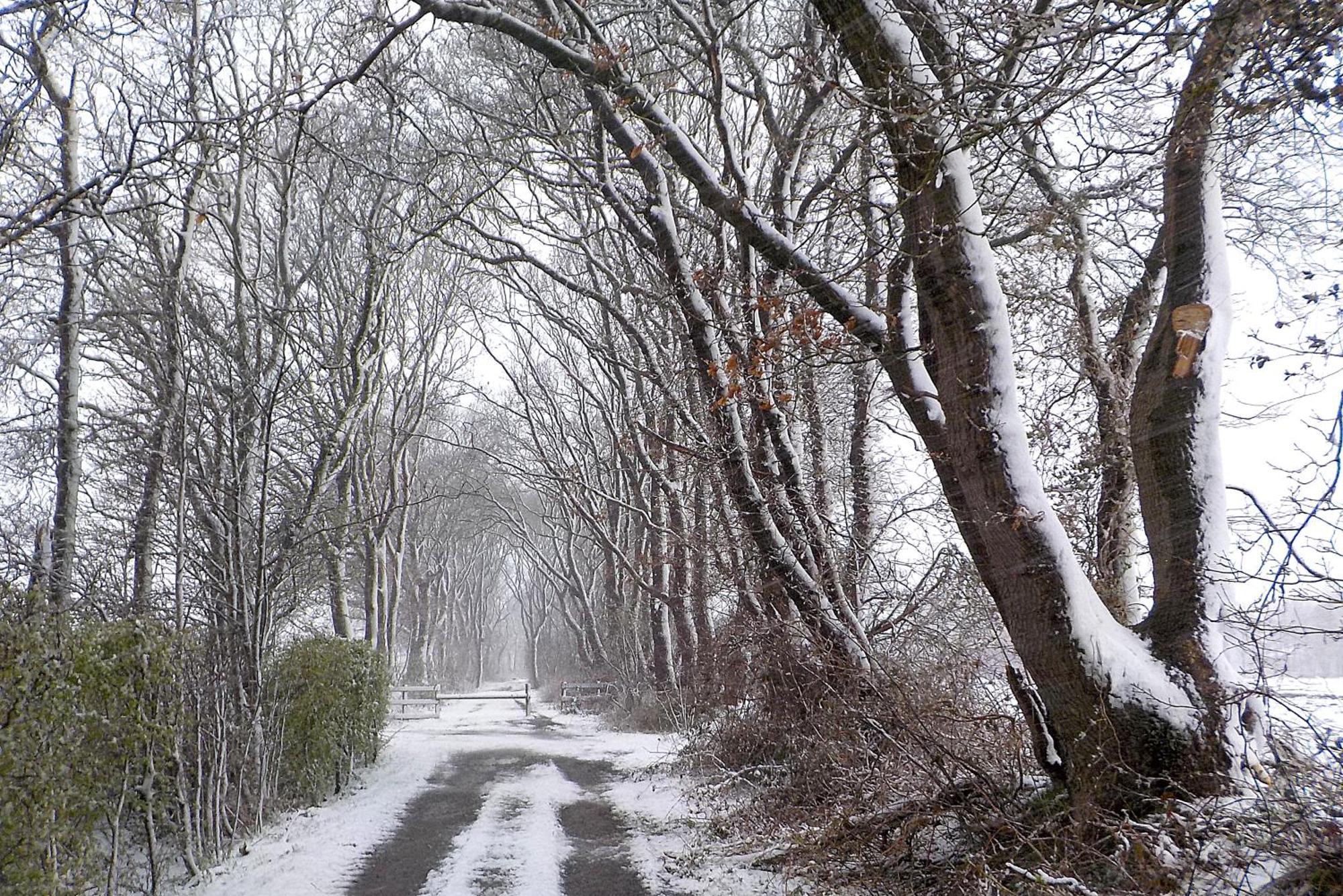 Natuurhuisje 't Poepekrus Kootstertille Buitenkant foto